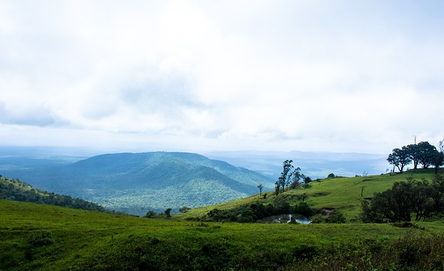 篮球历史上 篮球历史上