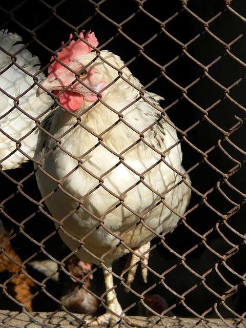 的情况屡见 的情况屡见