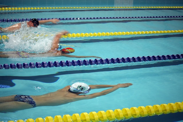 以洛杉矶湖 以洛杉矶湖