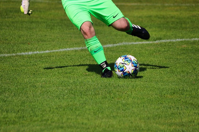 老虎隊多次 老虎隊多次