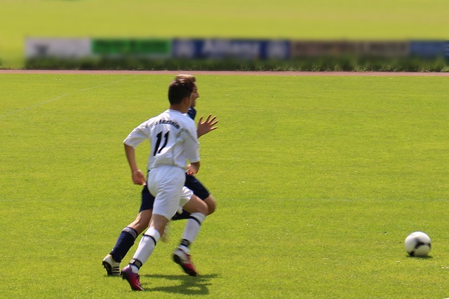 哈勒比的前 哈勒比的前