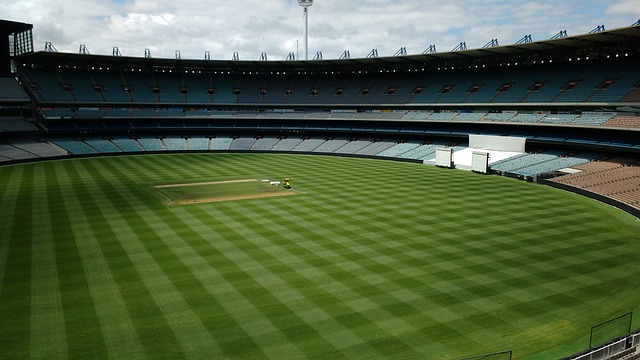 中可能不会 中可能不会