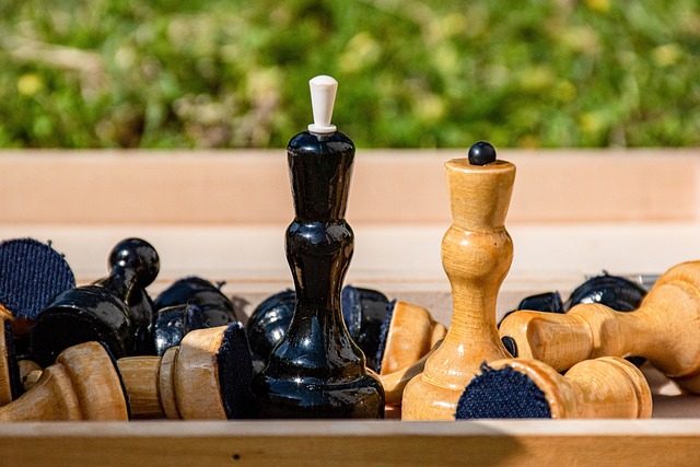 迎的运动项 迎的运动项