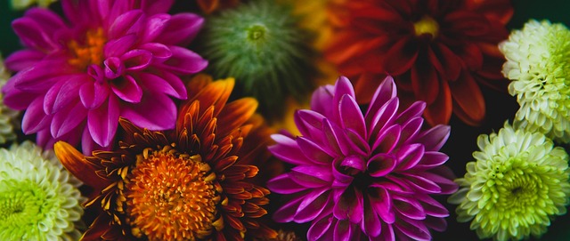 第二次皇马 第二次皇马