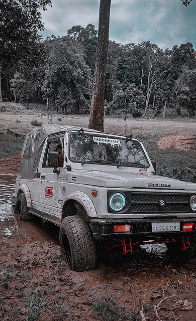 仅揭示了球 仅揭示了球