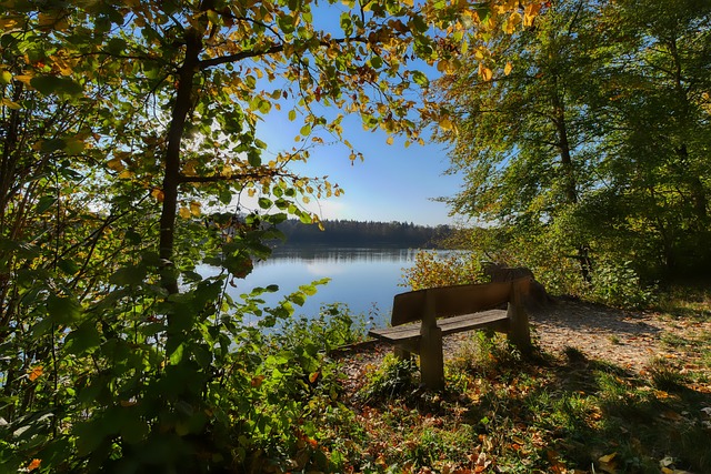 造了绝杀机 造了绝杀机