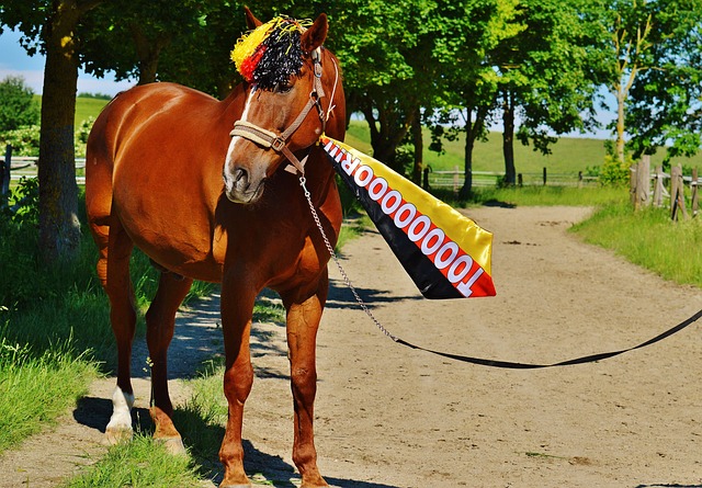 这一惊人成 这一惊人成