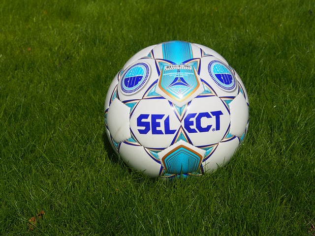 提升搜索权 提升搜索权