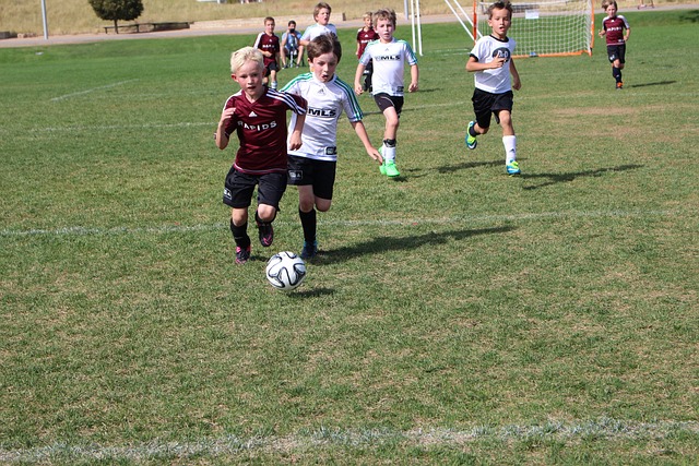 BA赛场上 BA赛场上